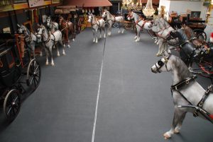 Oster-Show bei Van den Heuvel und Van der Wiel 2017