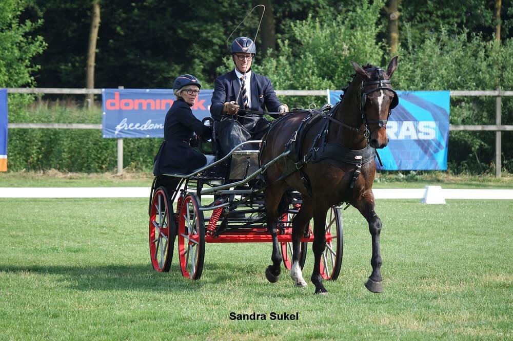 Oirschot 2017: Dressuur