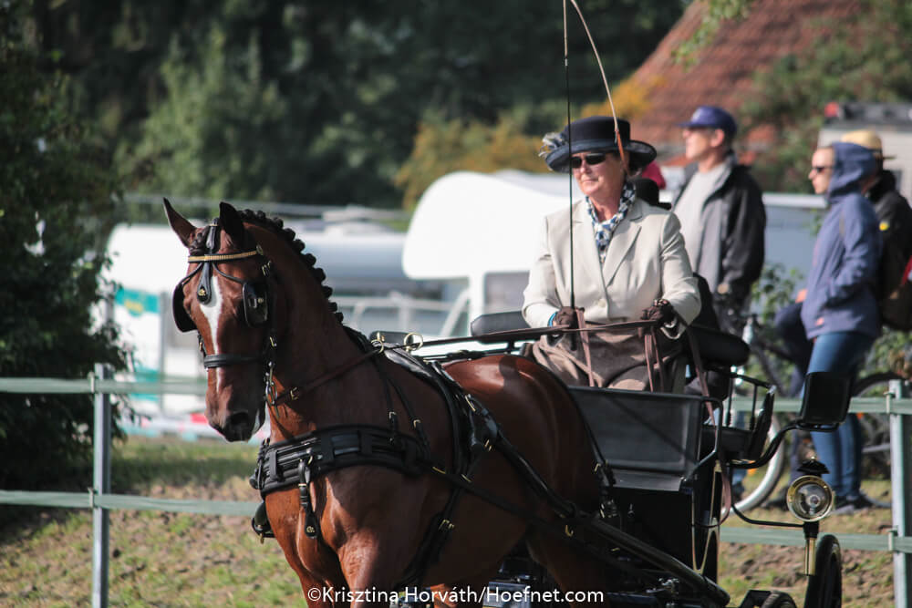 Minden 2017: vaardigheid & prijsuitreiking