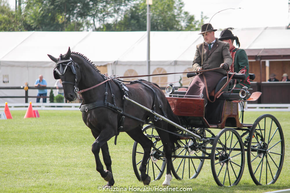 Mezőhegyes 2017: vrijdag