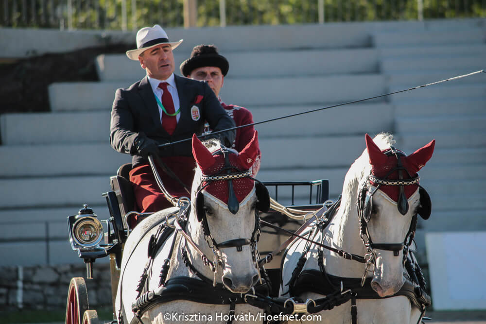 Vilmos Lázár nieuwe voorzitter Hongaarse mencommissie