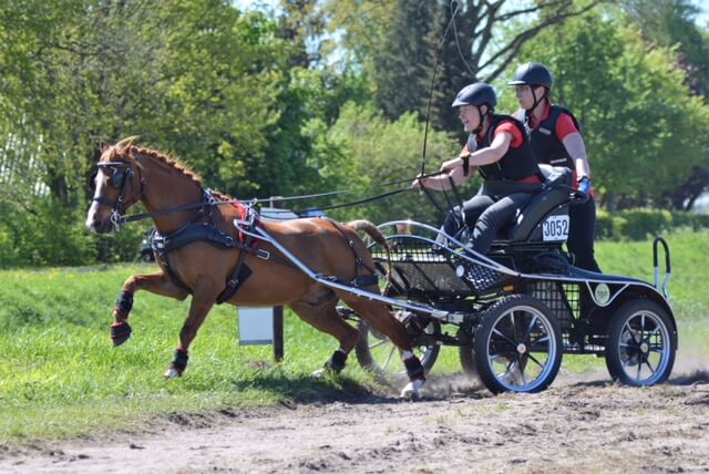 SWM Bronneger 2018: marathon