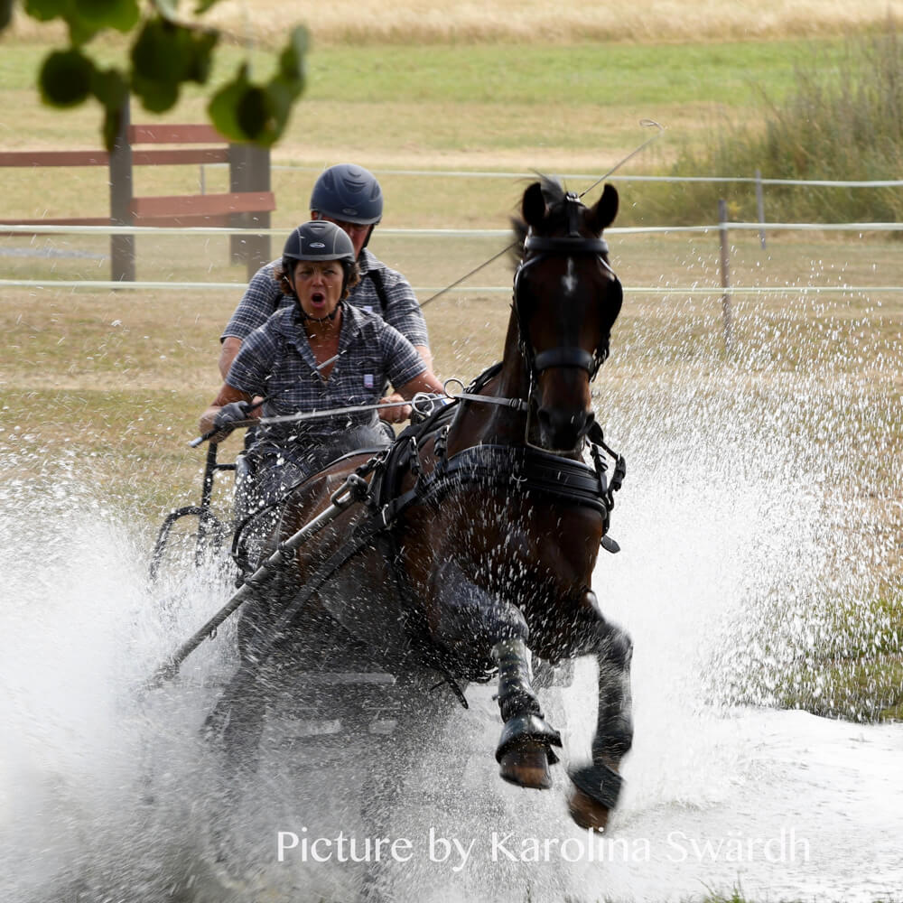 Swedish Championships Skogsborg 2018: marathon