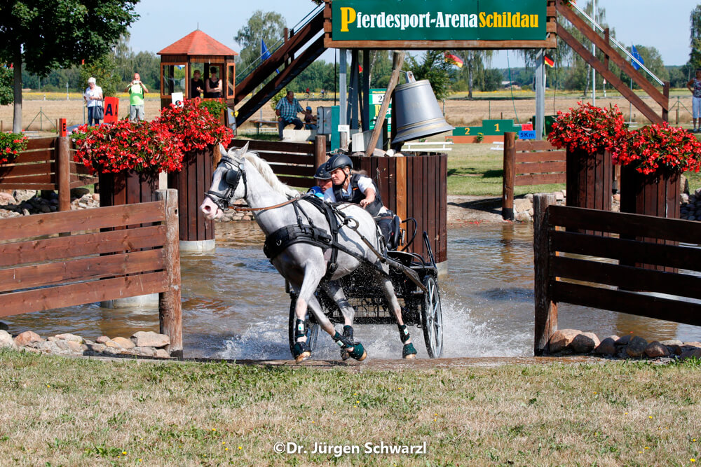 German Single Driving Championships Schildau 2018: marathon