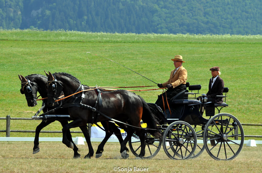 CAN Viechtwang 2018: dressuur vrijdag
