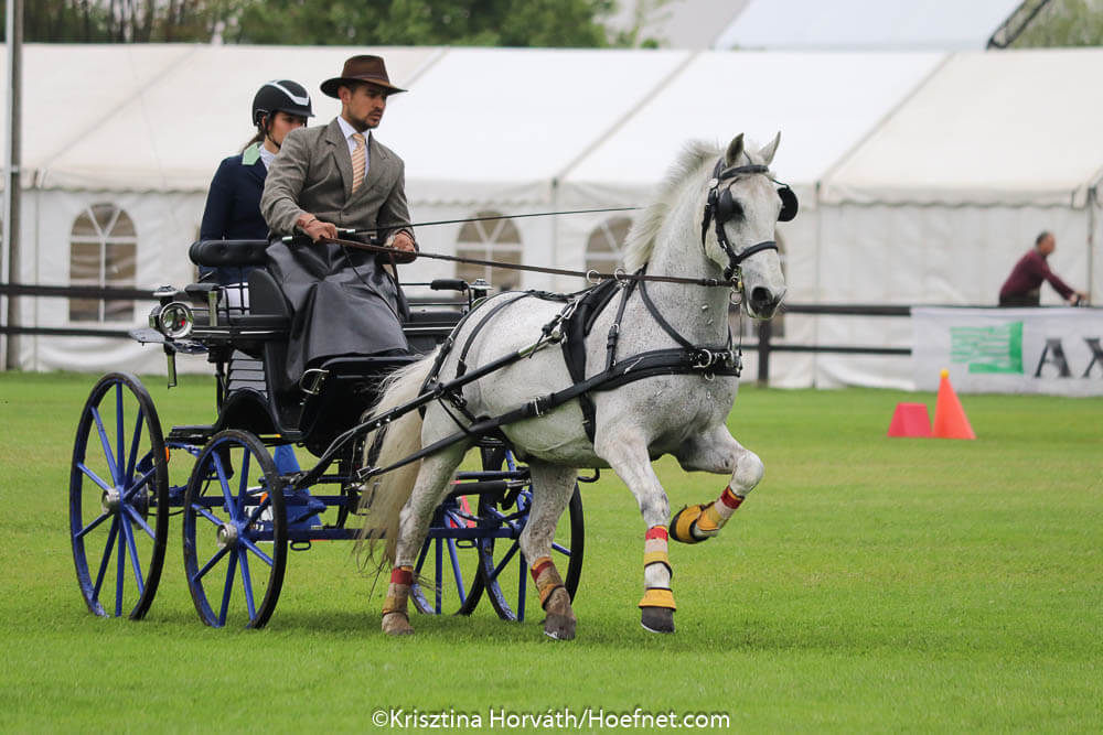 Mezőhegyes 2019: Kegelfahren