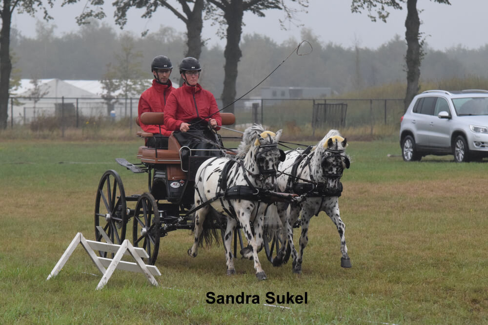 Dressuurtraining bij Grandorse 28 juli 2019