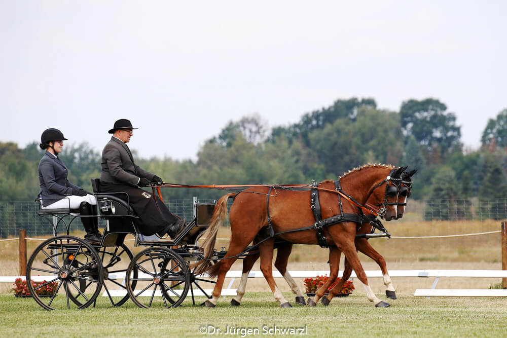 Schildau 2019: dressuur & vaardigheid