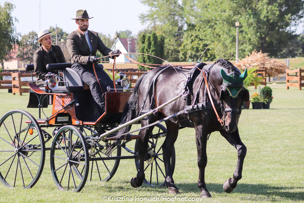 Mezőhegyes 2019: kwalificatie vrijdag