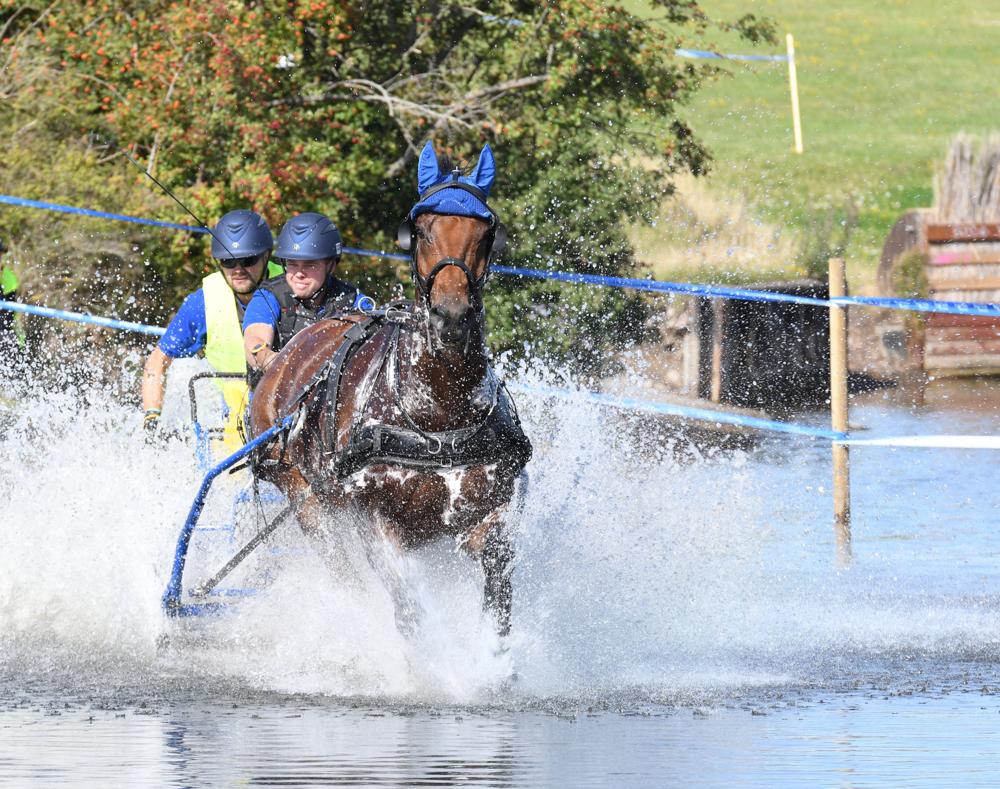 Malmö 2019: marathon