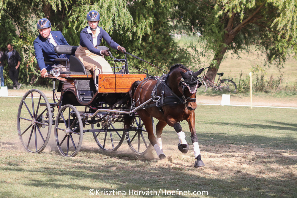 Kisbér-Ászár 2019: vaardigheid & prijsuitreiking