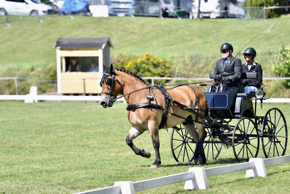CAN Åstorp 2020: Dressage