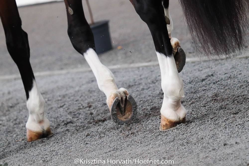 FEI verlengt wedstrijdstop tot 11 april