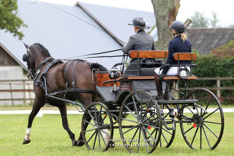 Impressions CAI Zirgaudzetava Koceni 2021