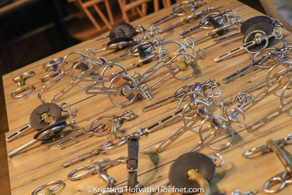 International Driving Clinic Lipica 2022