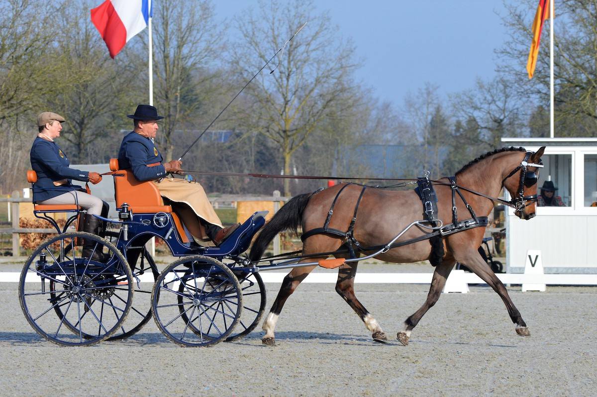 Exloo 2022: Dressage Friday