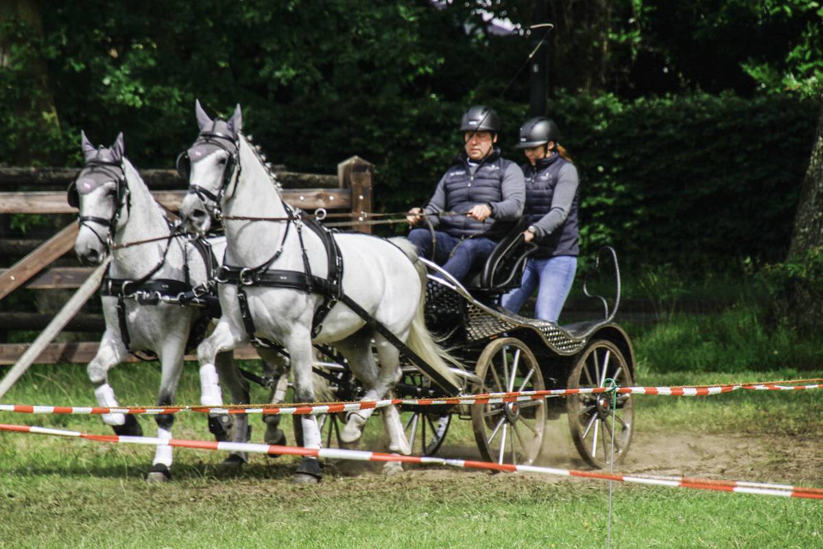 PaardenDagen Eersel 2022