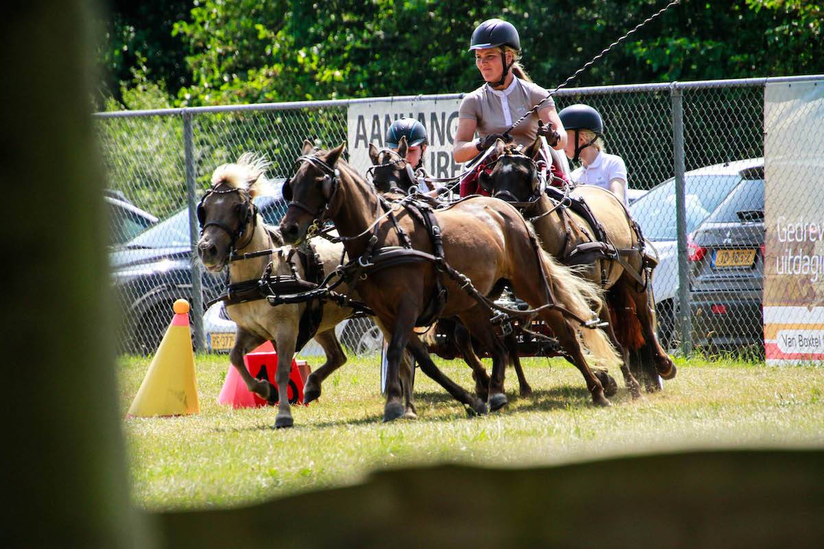 SWM Schijndel: zaterdag + zondag