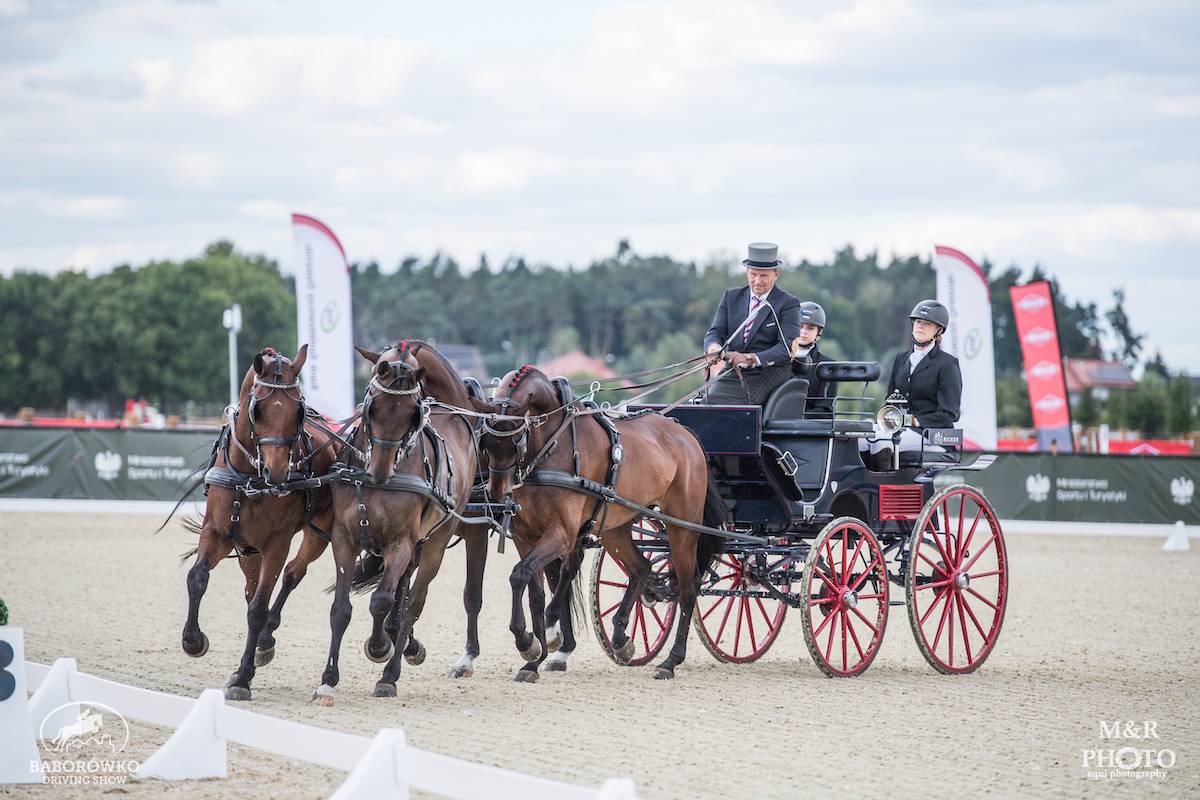 CAIO Baborówko 2022: Dressage