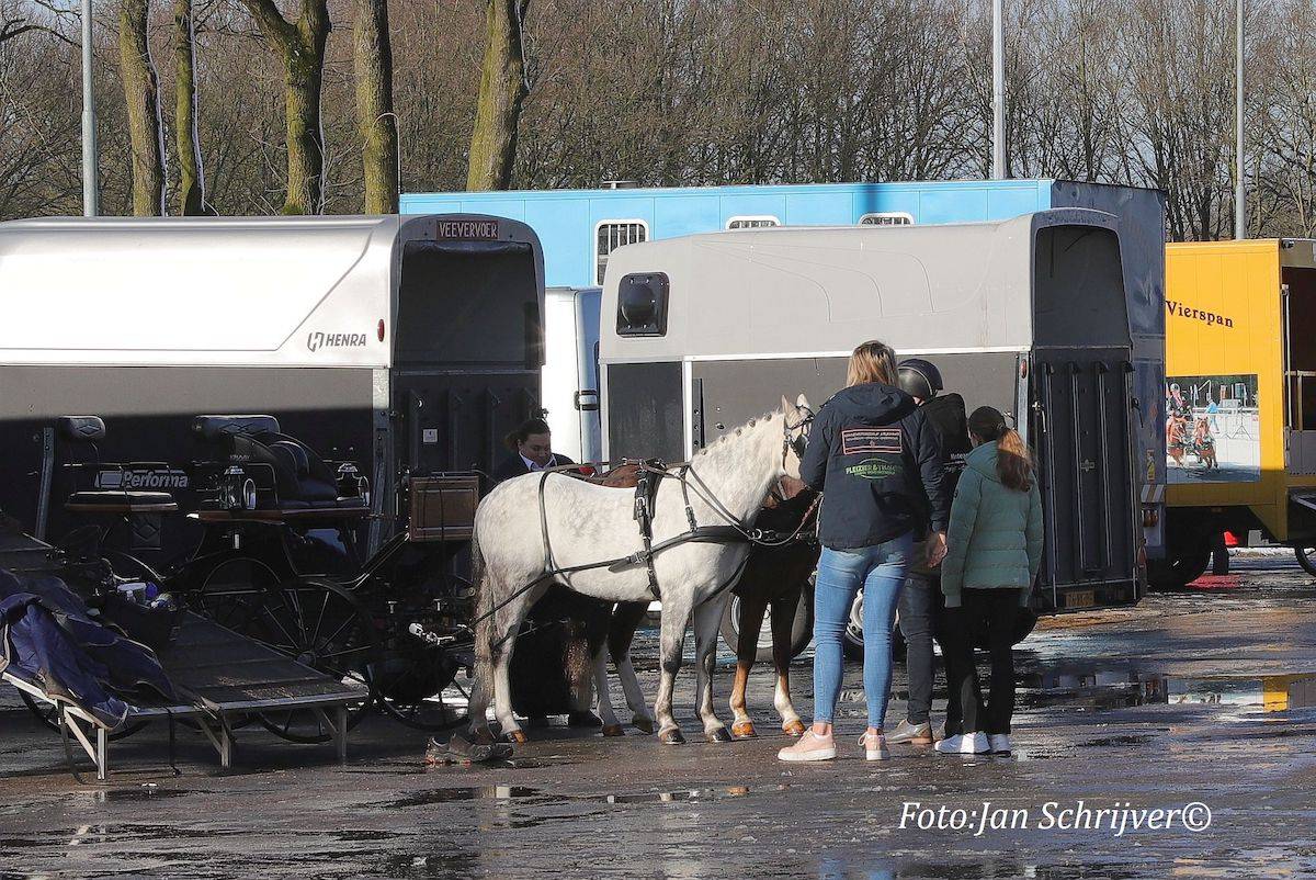 Districtskampioenschap dressuur + vaardigheid pony’s Oost Putten 2023