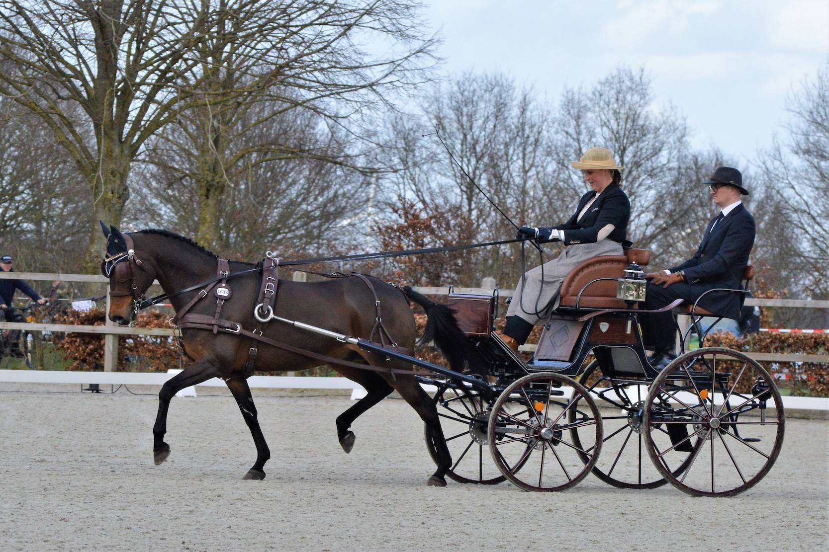 Exloo 2023: Dressage Thursday