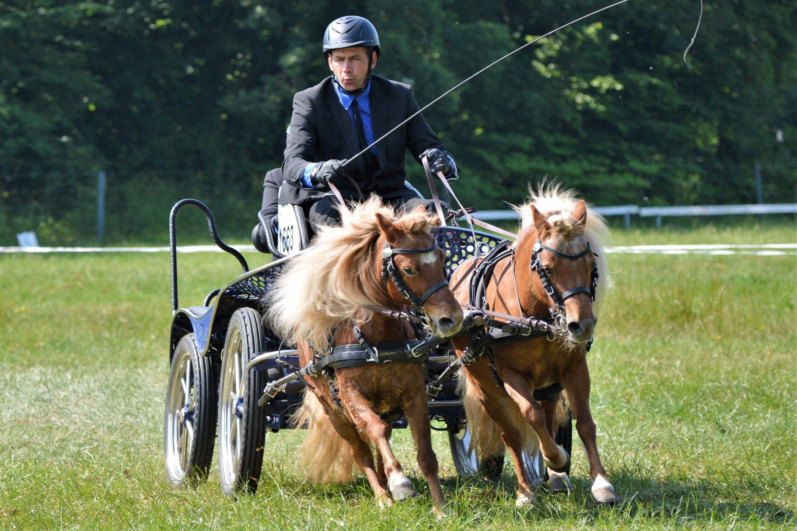 DK Mendistrict Noord D&V Leek 2023