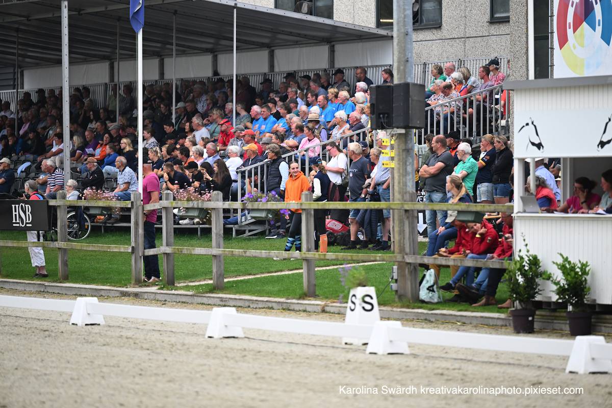 ECH & WCH Exloo 2023: Dressage Friday