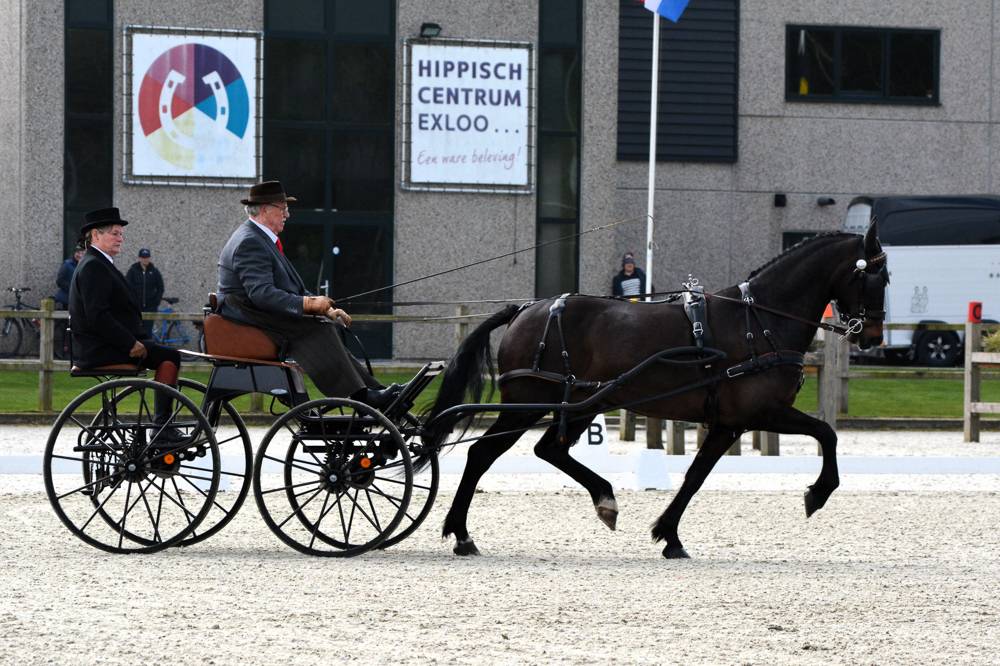 Exloo 2024: Dressage