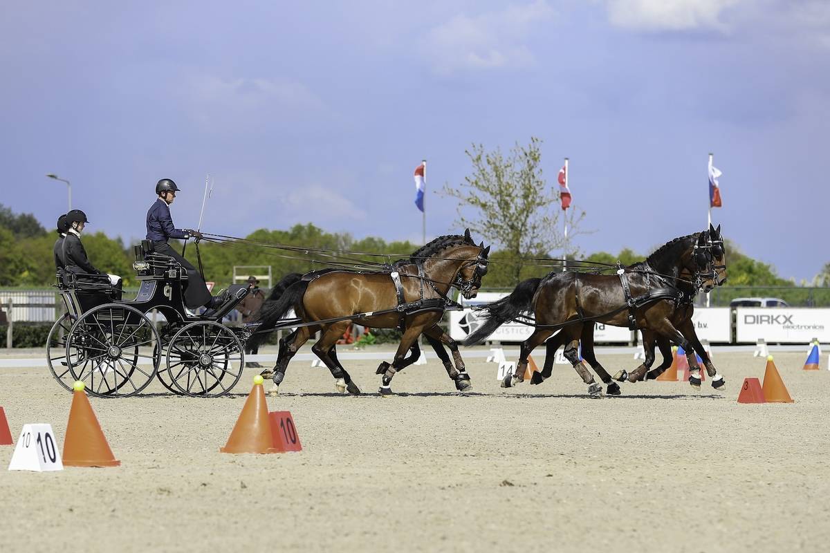 Kronenberg 2024: Sunday