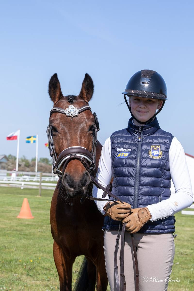 Morkov – Raevebjerg 2024: Horse inspection