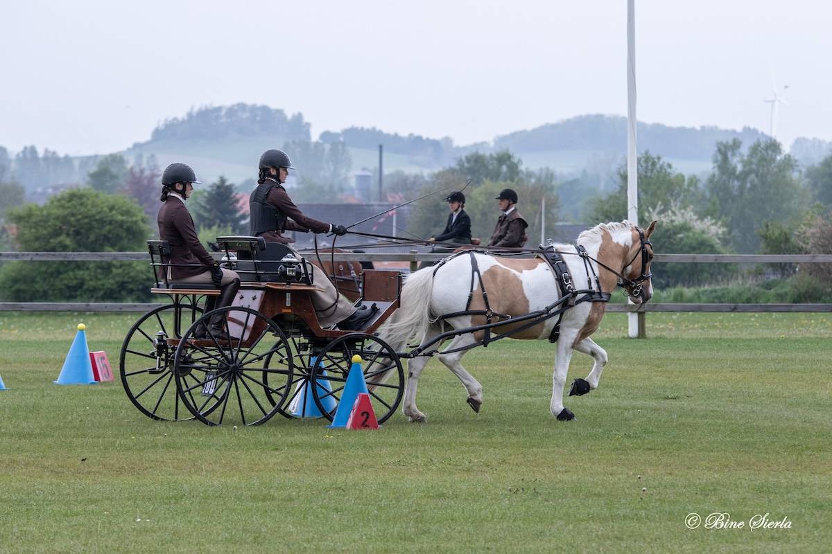 Morkov – Raevebjerg 2024: Cones