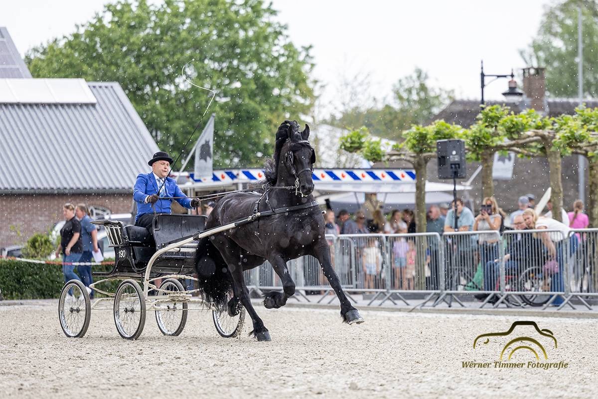 CH Friese Tuigpaarden Lunteren 2024