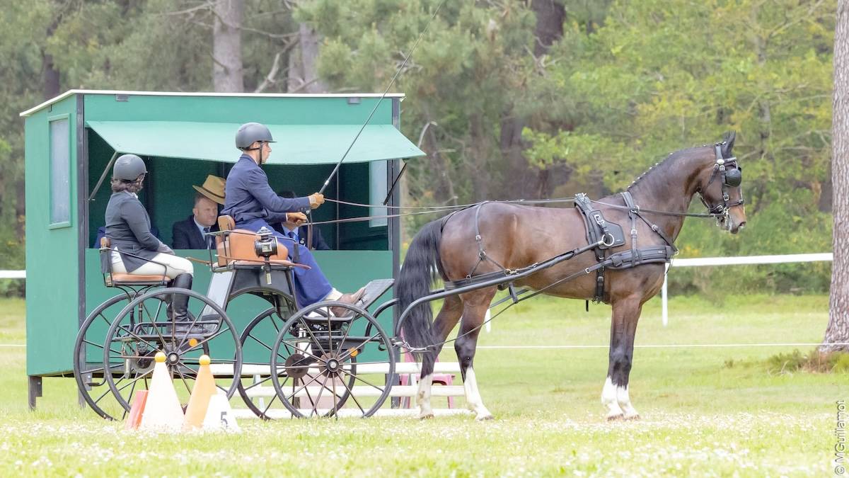 Saumur 2024: Dressage Wednesday