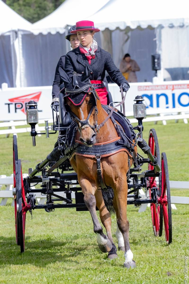 Saumur 2024: Dressage Thursday