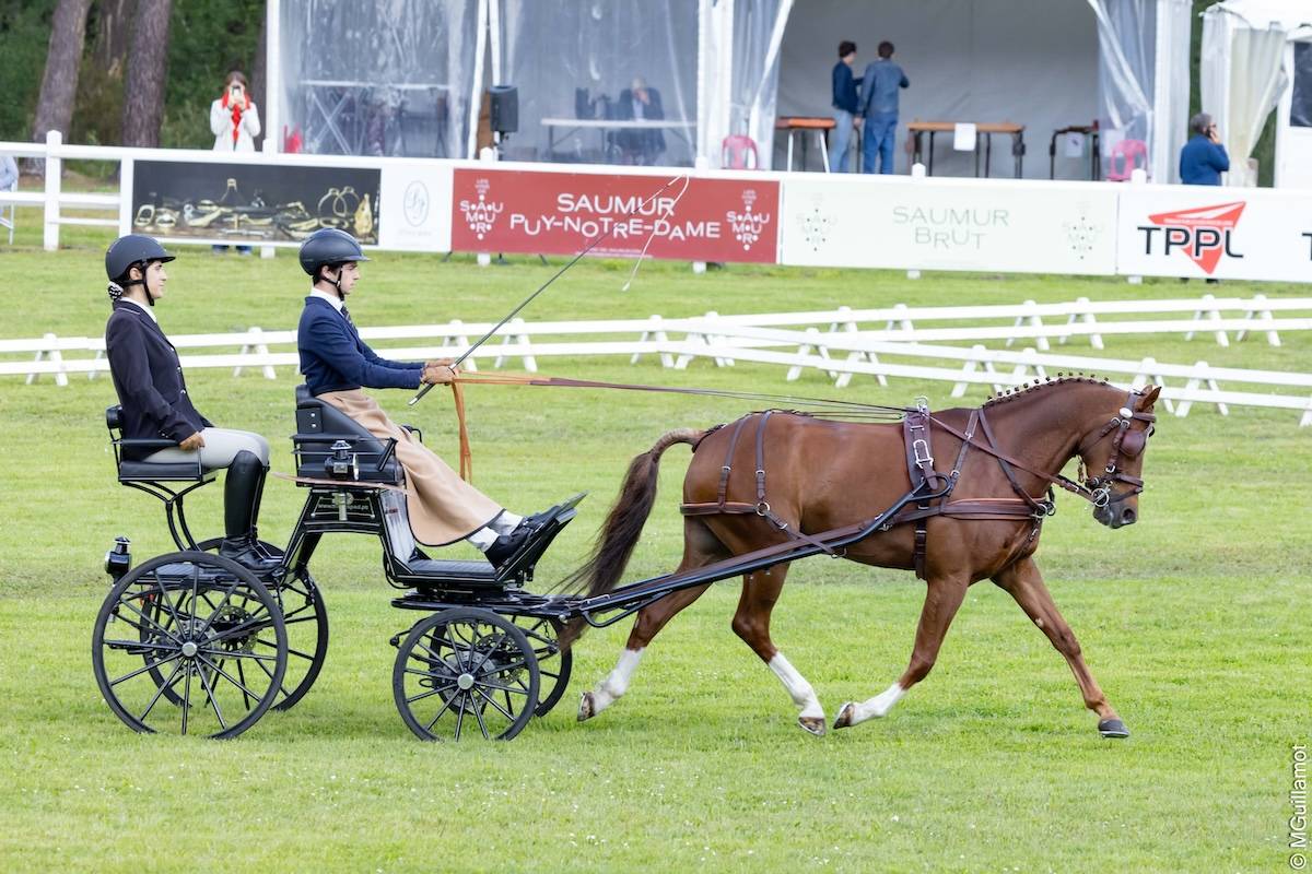 Saumur 2024: Dressage Friday