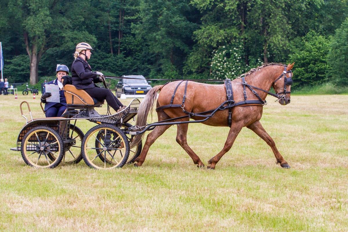 SWM Ugchelen 2024: Zaterdag