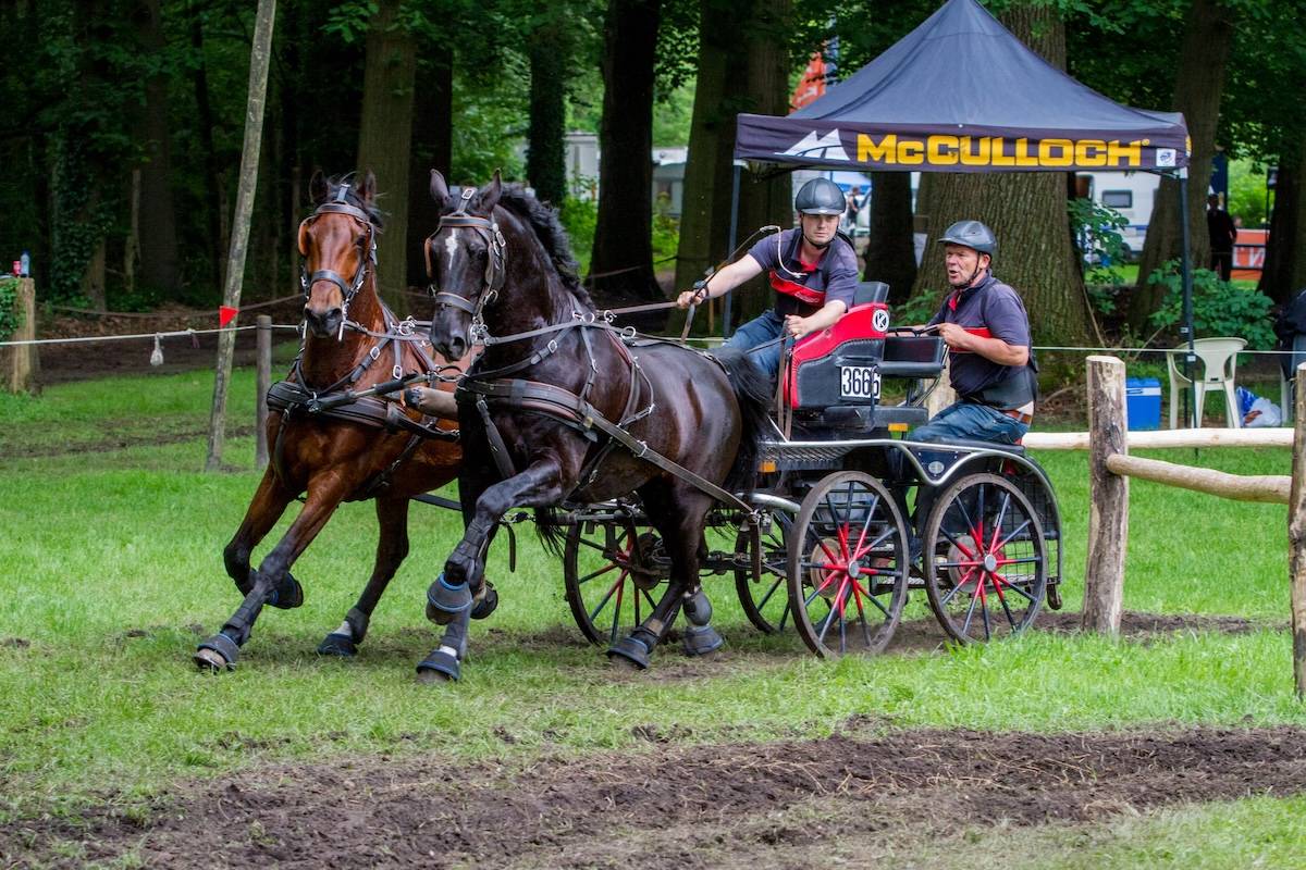 SWM Ugchelen 2024: Zondag