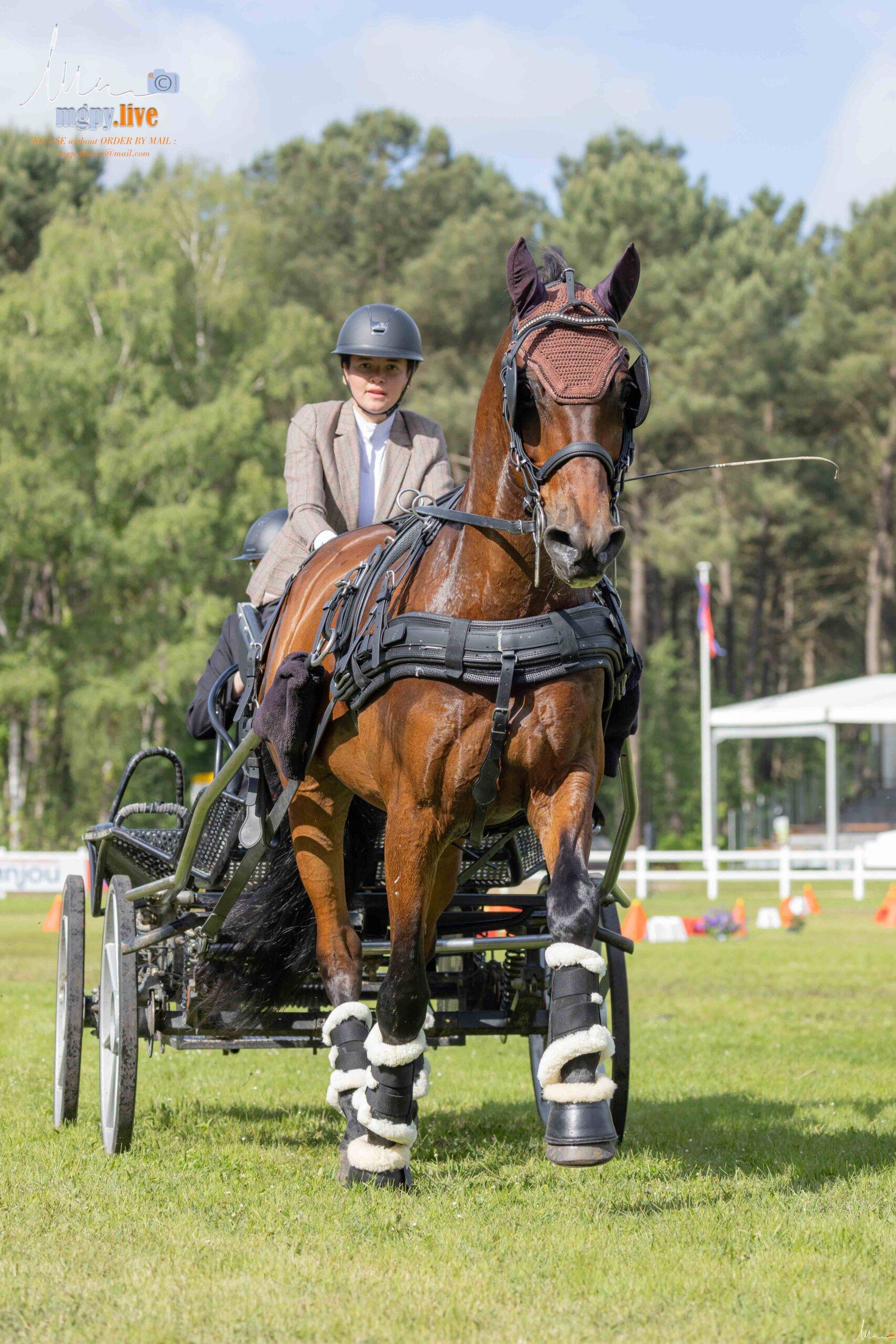 Saumur 2024: Cones Sunday
