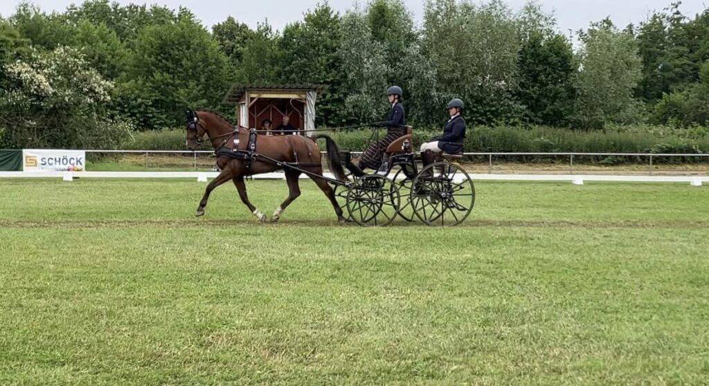 CAI Bühl 2024: Veel afmeldingen door zware omstandigheden