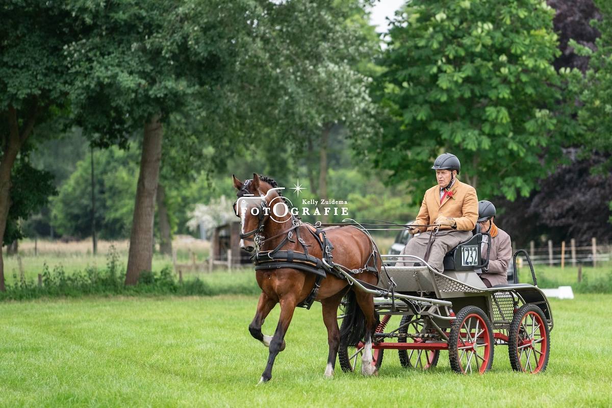 Dressuur en Vaardigheid Veghel 2024