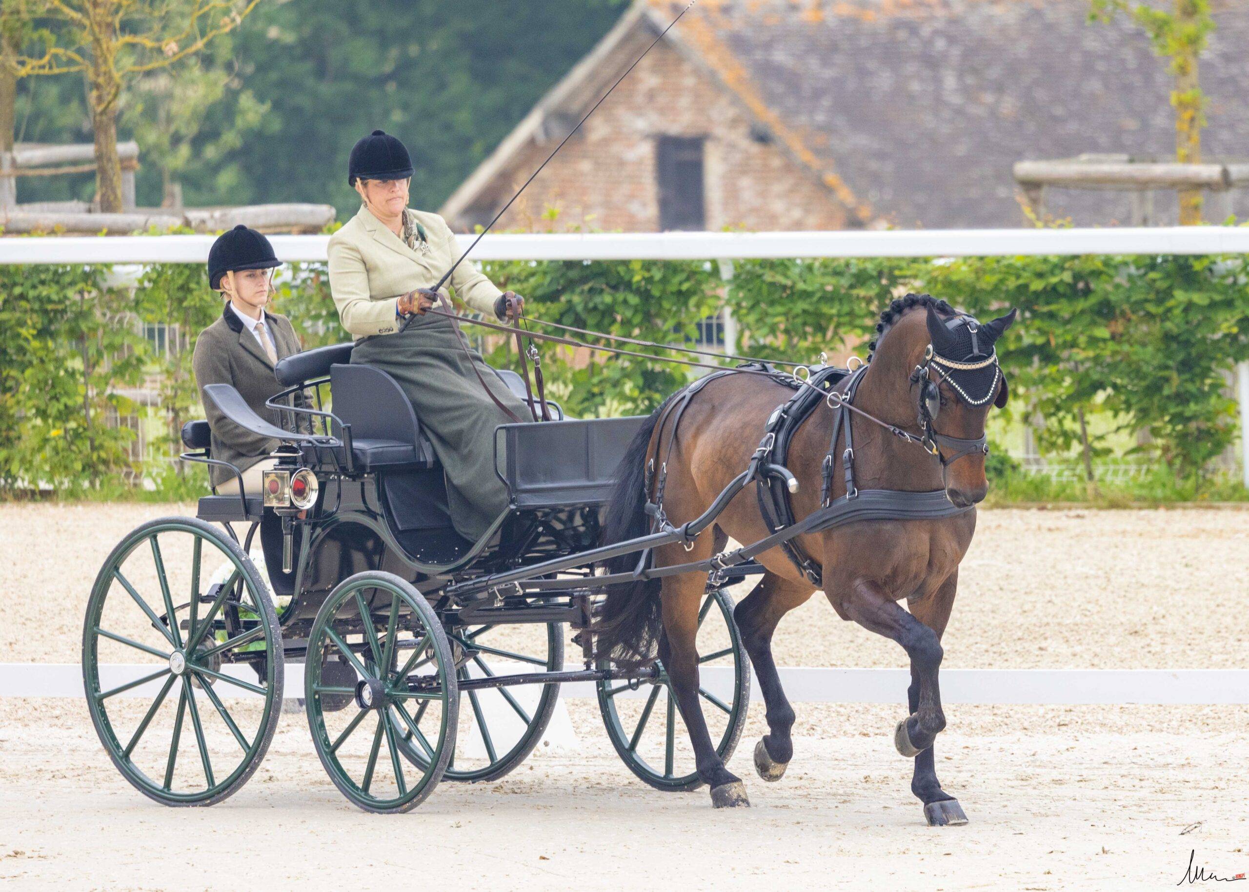 Le Pin au Haras 2024: Dressage