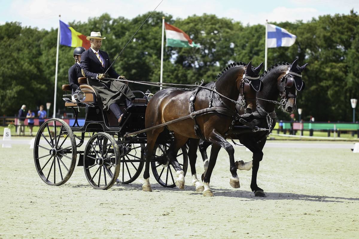 CAI Harich – Gaasterland 2024: Dressage