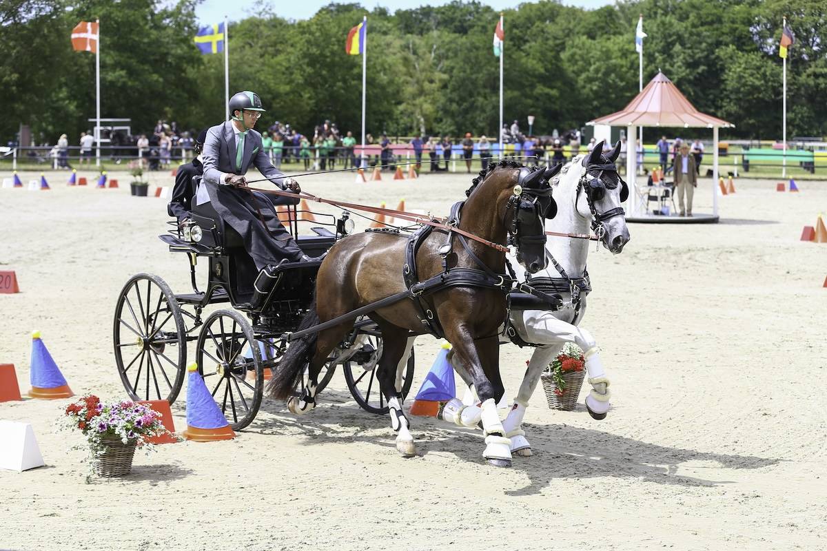 CAI Harich – Gaasterland 2024: Cones + Prize Giving