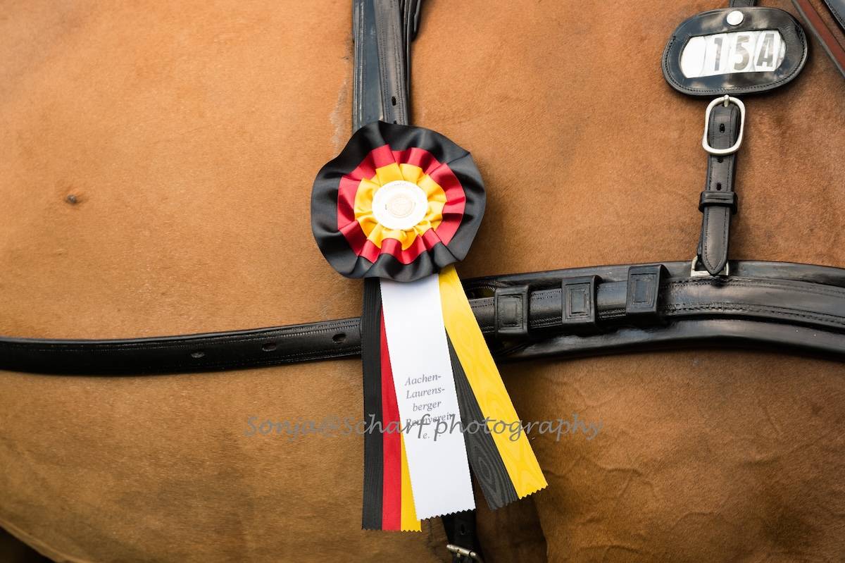 CAIO Aachen 2024: Dressage