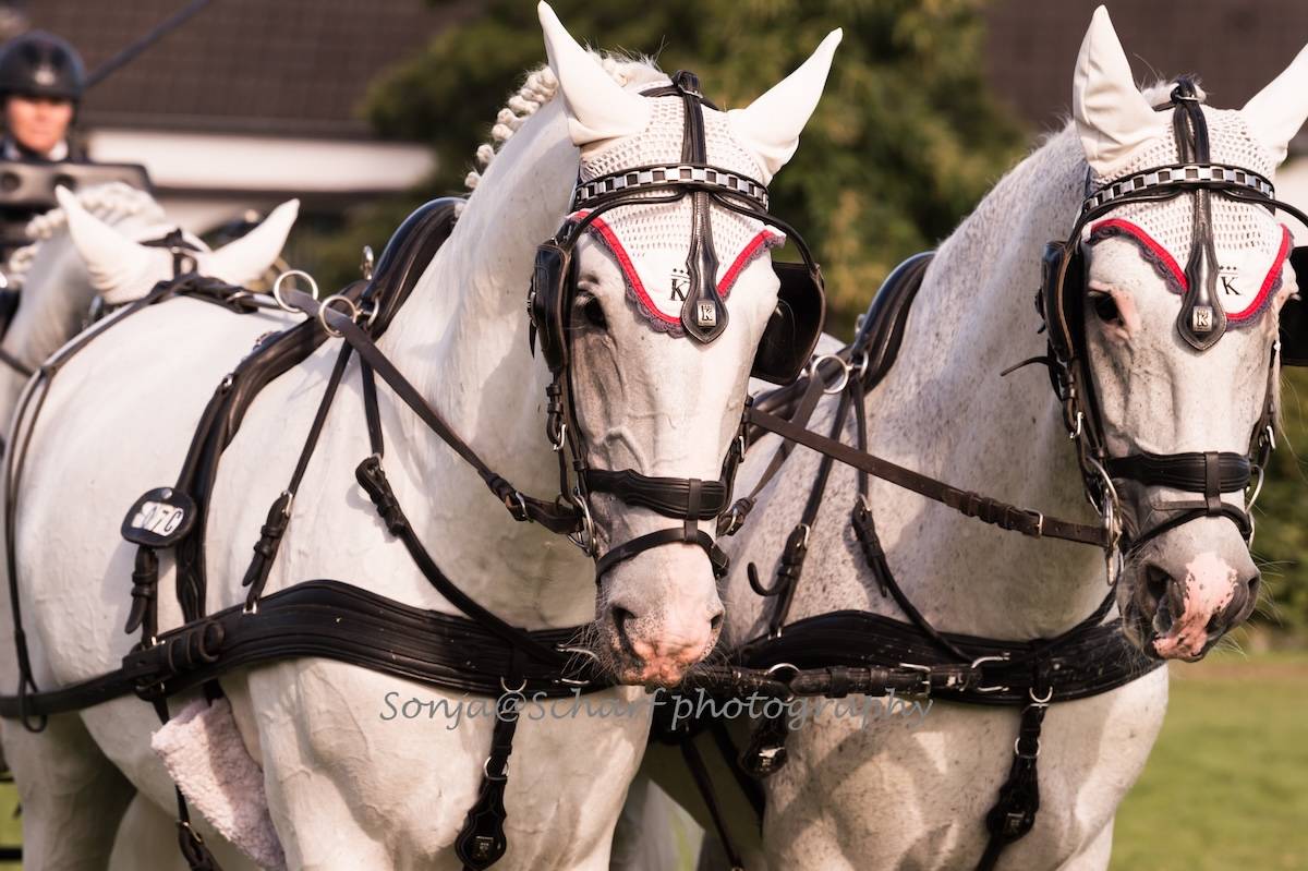 CAIO Aachen 2024: Cones + Prize Giving