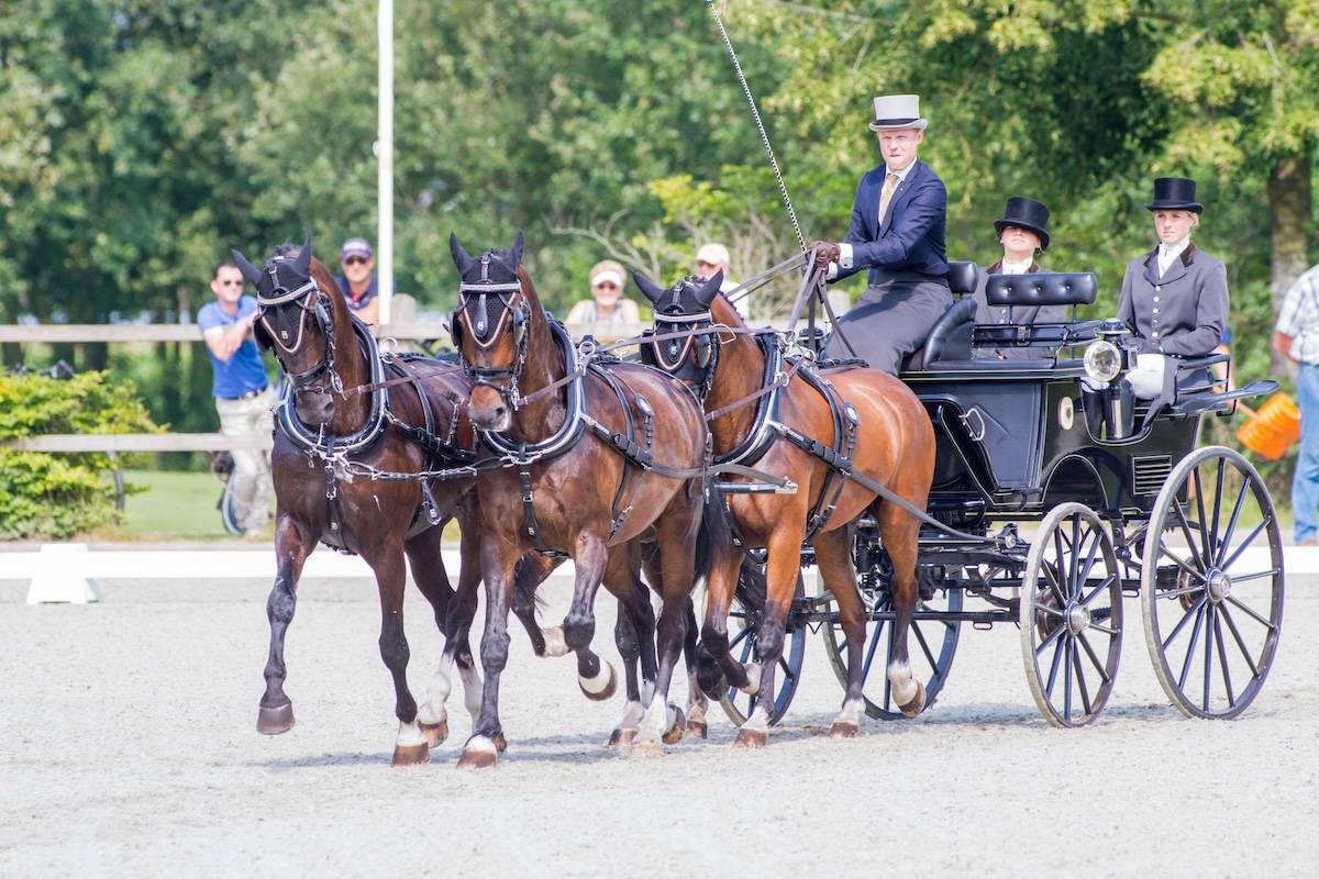 CAIO and Dutch Championships Four-in-Hand + Para Driving Exloo 2024: Dressage