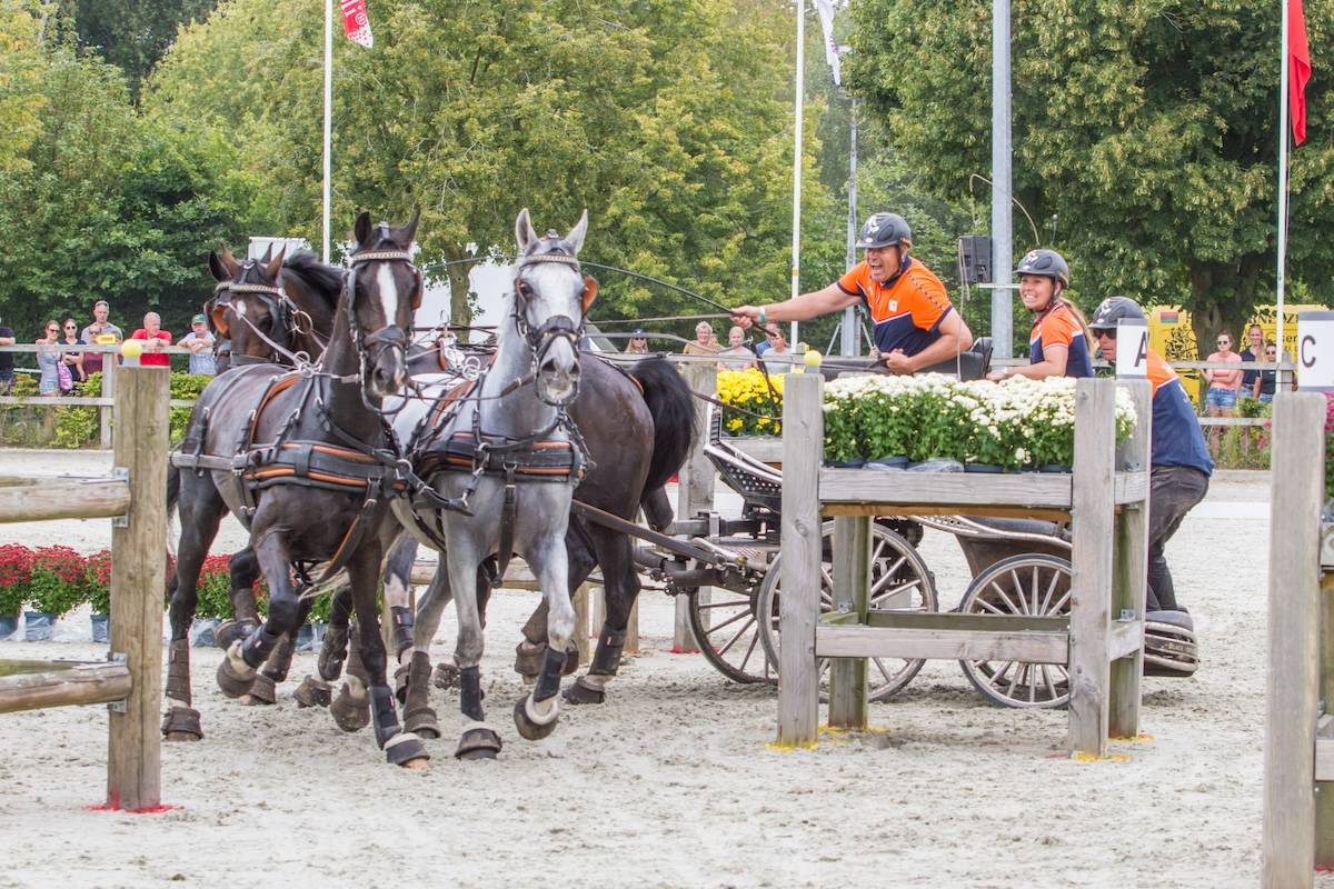 CAIO and Dutch Championships Four-in-Hand + Para Driving Exloo 2024: Marathon