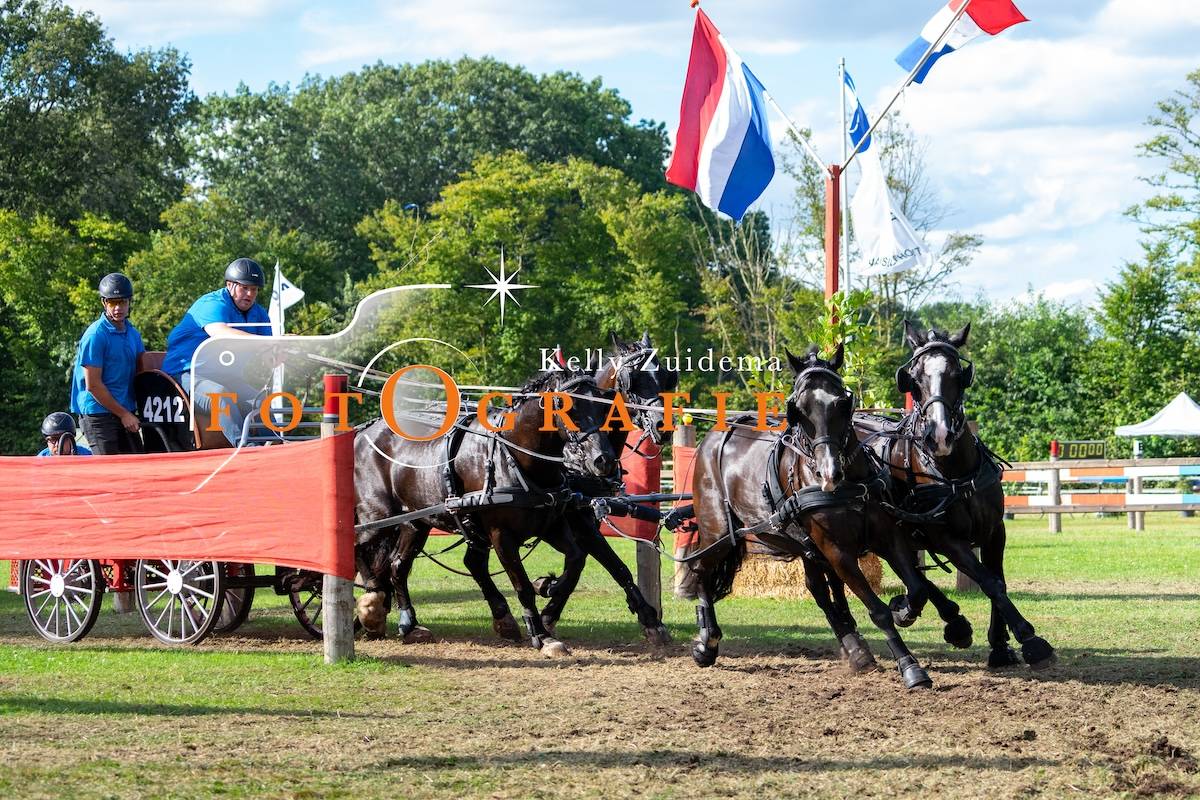 KNHS kampioenschappen SWM Wenum Wiesel 2024