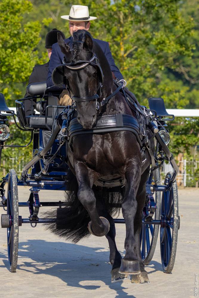 WCH Singles Le Pin 2024: Dressage Thursday