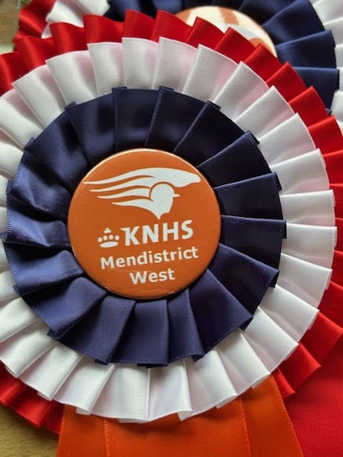 DK West Dressuur Zwartewaal 2025